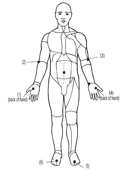 meridian figure